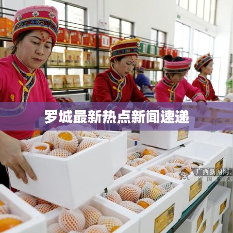 罗城最新热点新闻速递