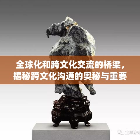 全球化和跨文化交流的桥梁,揭秘跨文化沟通的奥秘与重要性