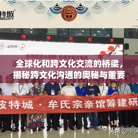 全球化和跨文化交流的桥梁,揭秘跨文化沟通的奥秘与重要性