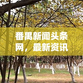 番禺新闻头条网,最新资讯媒体平台,掌握番禺动态的首选来源