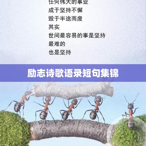 励志诗歌语录短句集锦