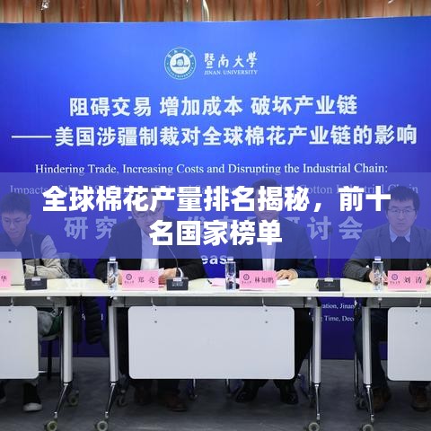 全球棉花产量排名揭秘,前十名国家榜单