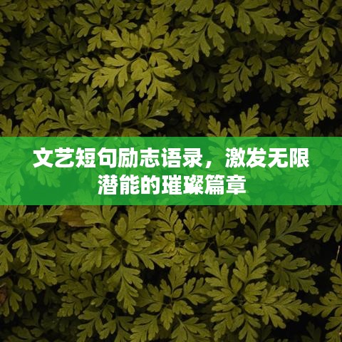 文艺短句励志语录，激发无限潜能的璀璨篇章