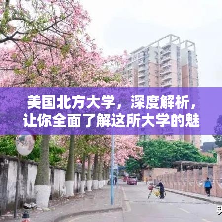 美国北方大学，深度解析，让你全面了解这所大学的魅力！