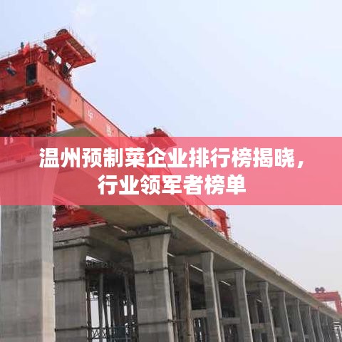 矫枉过正 第5页