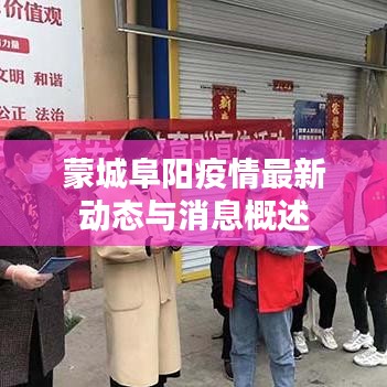 蒙城阜阳疫情最新动态与消息概述