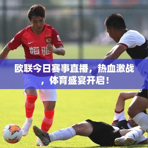 欧联今日赛事直播,热血激战,体育盛宴开启!