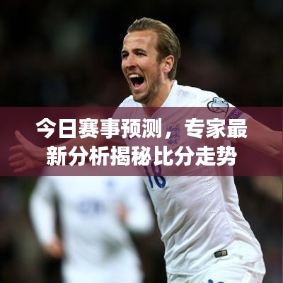 今日赛事预测，专家最新分析揭秘比分走势