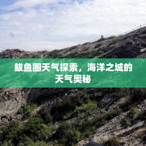 鲅鱼圈天气探索,海洋之城的天气奥秘