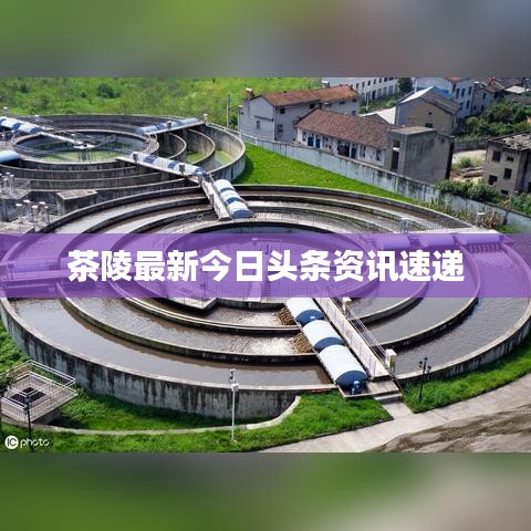 茶陵最新今日头条资讯速递