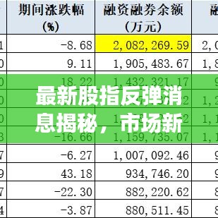 最新股指反弹消息揭秘,市场新动向引领投资风向标
