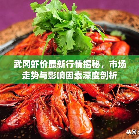 武冈虾价最新行情揭秘,市场走势与影响因素深度剖析