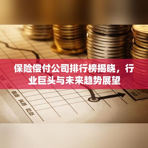 保险偿付公司排行榜揭晓,行业巨头与未来趋势展望