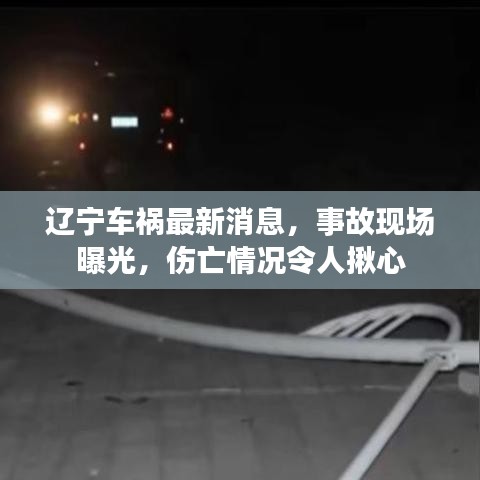 辽宁车祸最新消息,事故现场曝光,伤亡情况令人揪心