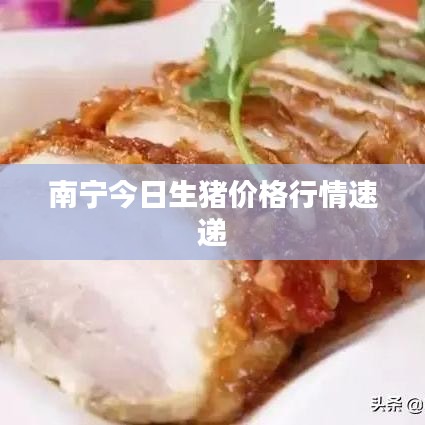 南宁今日生猪价格行情速递