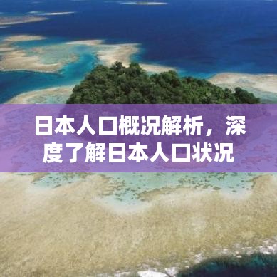 日本人口概况解析,深度了解日本人口状况
