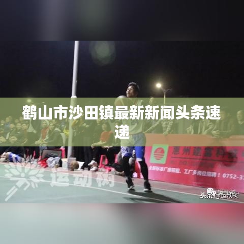 鹤山市沙田镇最新新闻头条速递