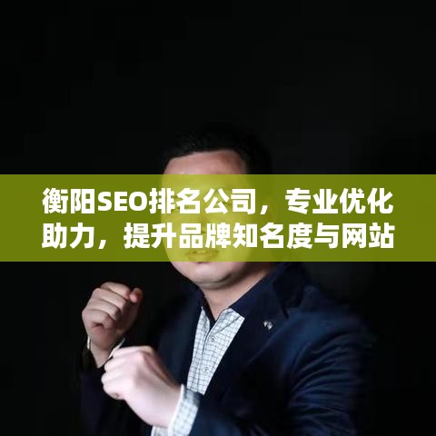 衡阳SEO排名公司,专业优化助力,提升品牌知名度与网站排名