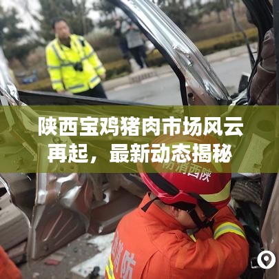 陕西宝鸡猪肉市场风云再起,最新动态揭秘