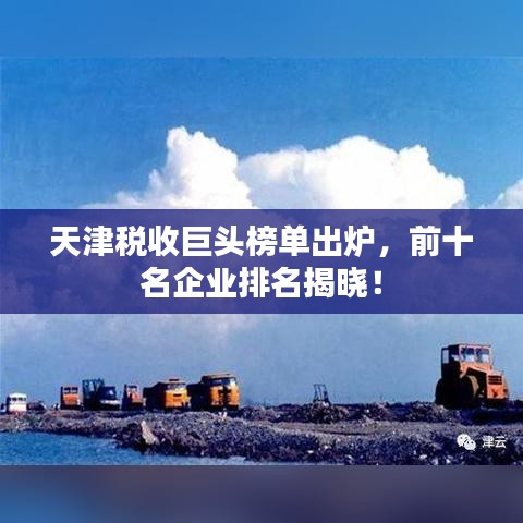 天津税收巨头榜单出炉,前十名企业排名揭晓!