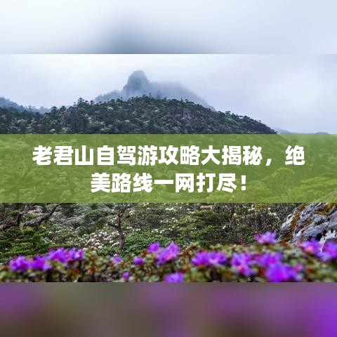 老君山自驾游攻略大揭秘,绝美路线一网打尽!