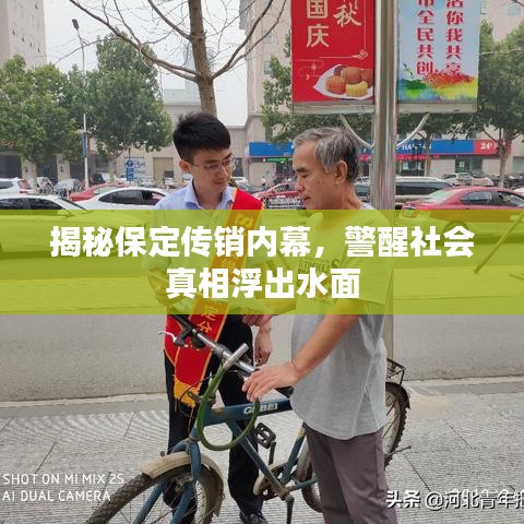 揭秘保定传销内幕,警醒社会真相浮出水面