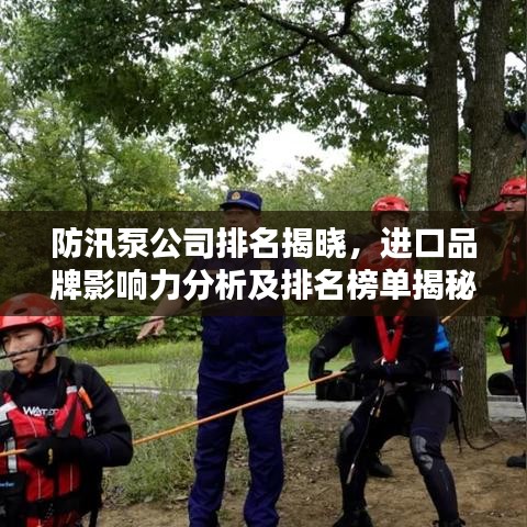 防汛泵公司排名揭晓,进口品牌影响力分析及排名榜单揭秘