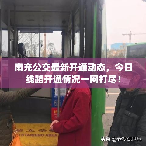 南充公交最新开通动态,今日线路开通情况一网打尽!
