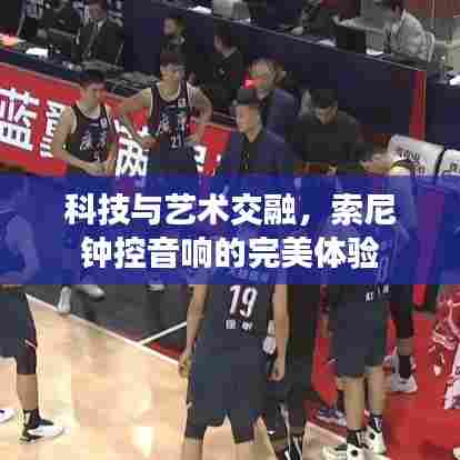 科技与艺术交融,索尼钟控音响的完美体验