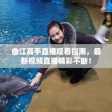 曲江高手直播观看指南,最新视频直播精彩不断!