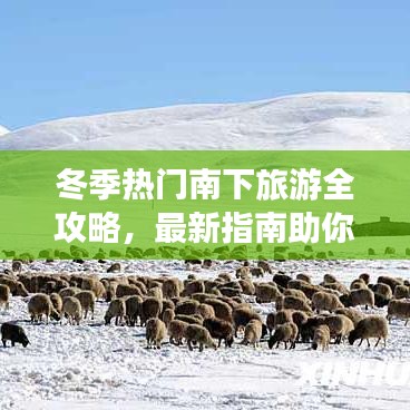 冬季热门南下旅游全攻略,最新指南助你畅游无阻