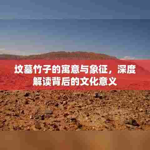 坟墓竹子的寓意与象征,深度解读背后的文化意义