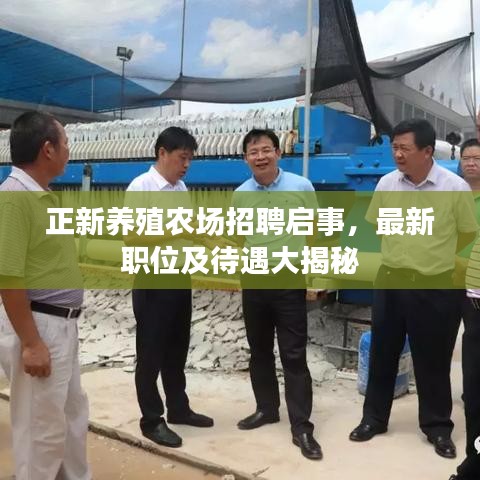 正新养殖农场招聘启事,最新职位及待遇大揭秘