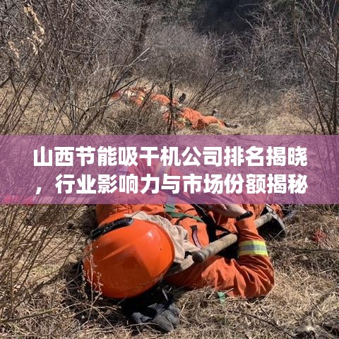 山西节能吸干机公司排名揭晓,行业影响力与市场份额揭秘