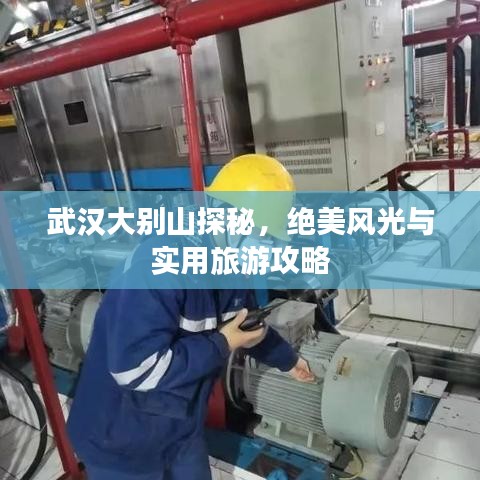 物离乡贵 第3页