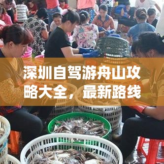 深圳自驾游舟山攻略大全,最新路线与体验