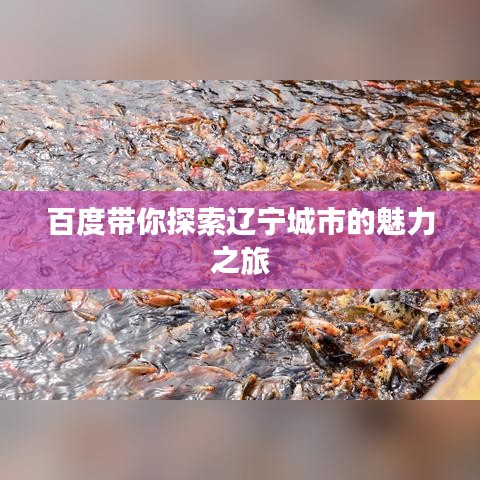 百度带你探索辽宁城市的魅力之旅
