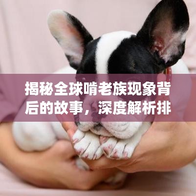 揭秘全球啃老族现象背后的故事,深度解析排名背后的真相