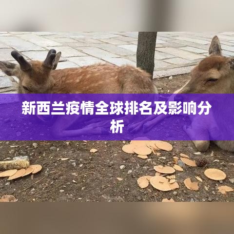 新西兰疫情全球排名及影响分析