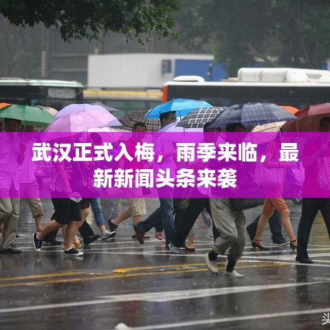 武汉正式入梅,雨季来临,最新新闻头条来袭