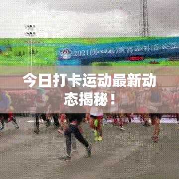 今日打卡运动最新动态揭秘！