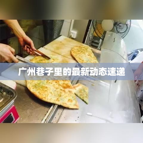 广州巷子里的最新动态速递