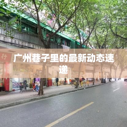 广州巷子里的最新动态速递
