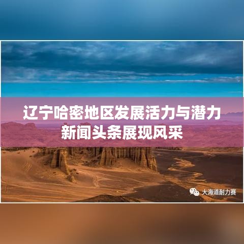 辽宁哈密地区发展活力与潜力新闻头条展现风采