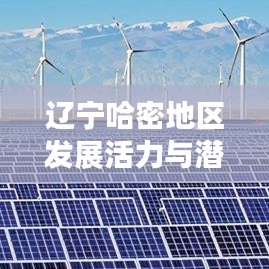 辽宁哈密地区发展活力与潜力新闻头条展现风采