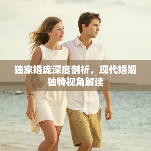 独家婚庞深度剖析,现代婚姻独特视角解读