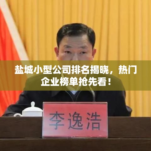 盐城小型公司排名揭晓,热门企业榜单抢先看!