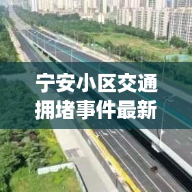 忠心耿耿 第4页