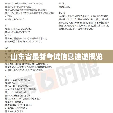 山东省最新考试信息速递概览
