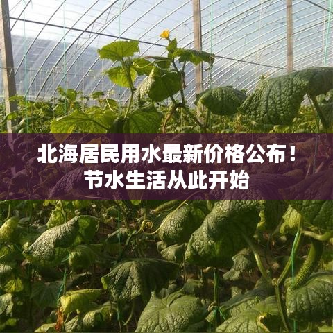 北海居民用水最新价格公布！节水生活从此开始